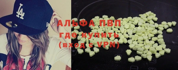 прущий лед Алзамай