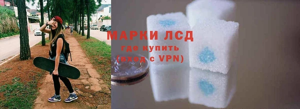 прущий лед Алзамай
