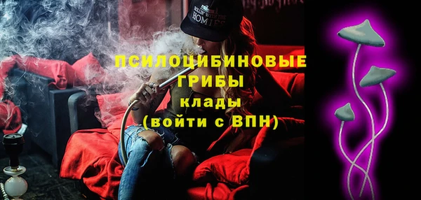 прущий лед Алзамай