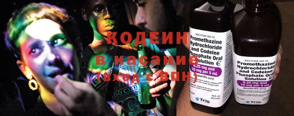 прущий лед Алзамай