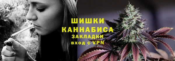 прущий лед Алзамай