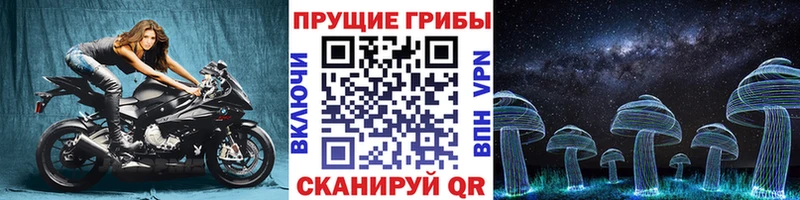 Псилоцибиновые грибы Cubensis  shop официальный сайт  Могоча 